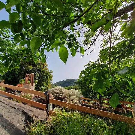 Calas A By Rivero * Valleseco